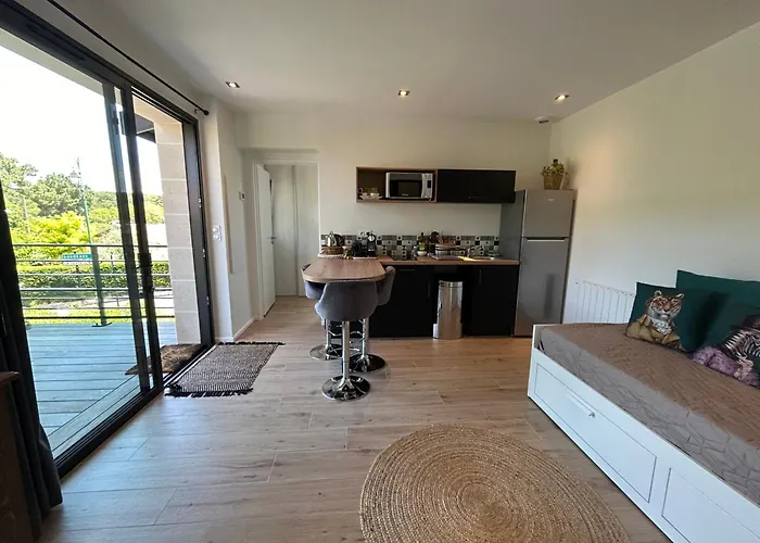 Neuf T2 Avec Jardin Et Terrasses Apartment