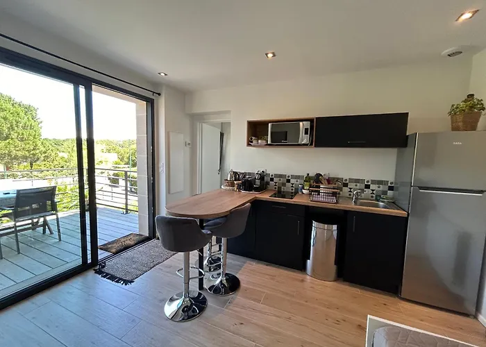 Apartment Neuf T2 Avec Jardin Et Terrasses Arcachon